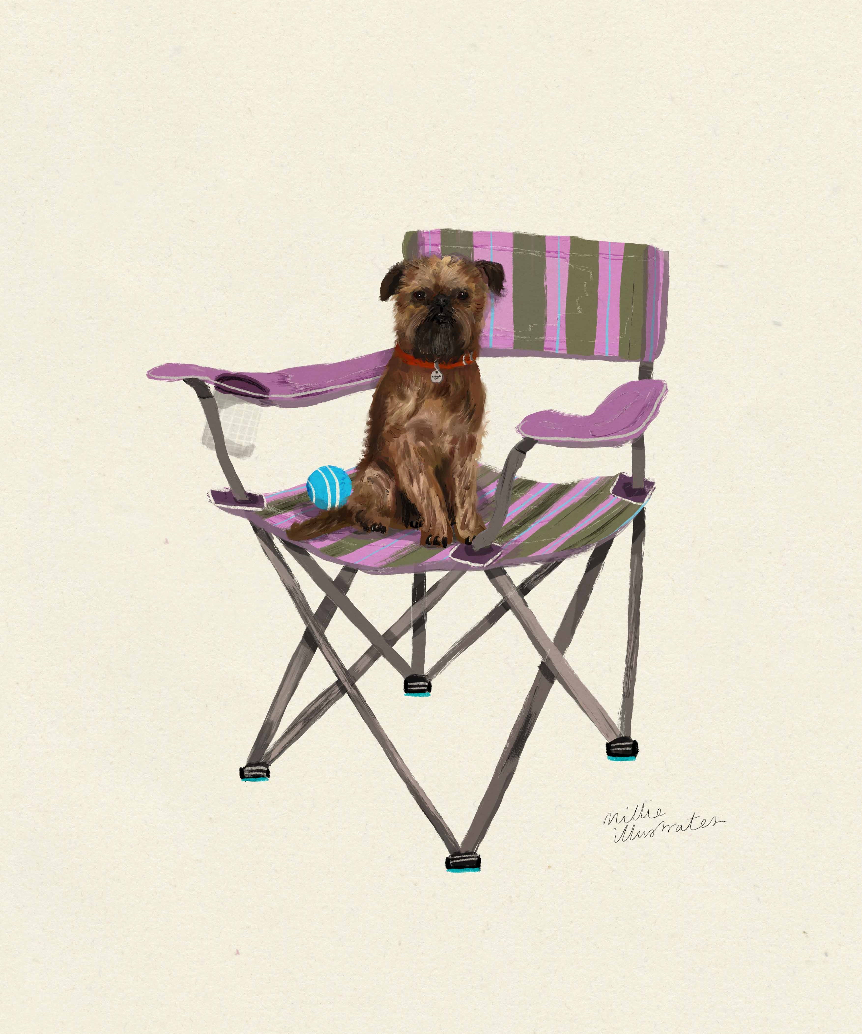 brusselsgriffonfile.jpg