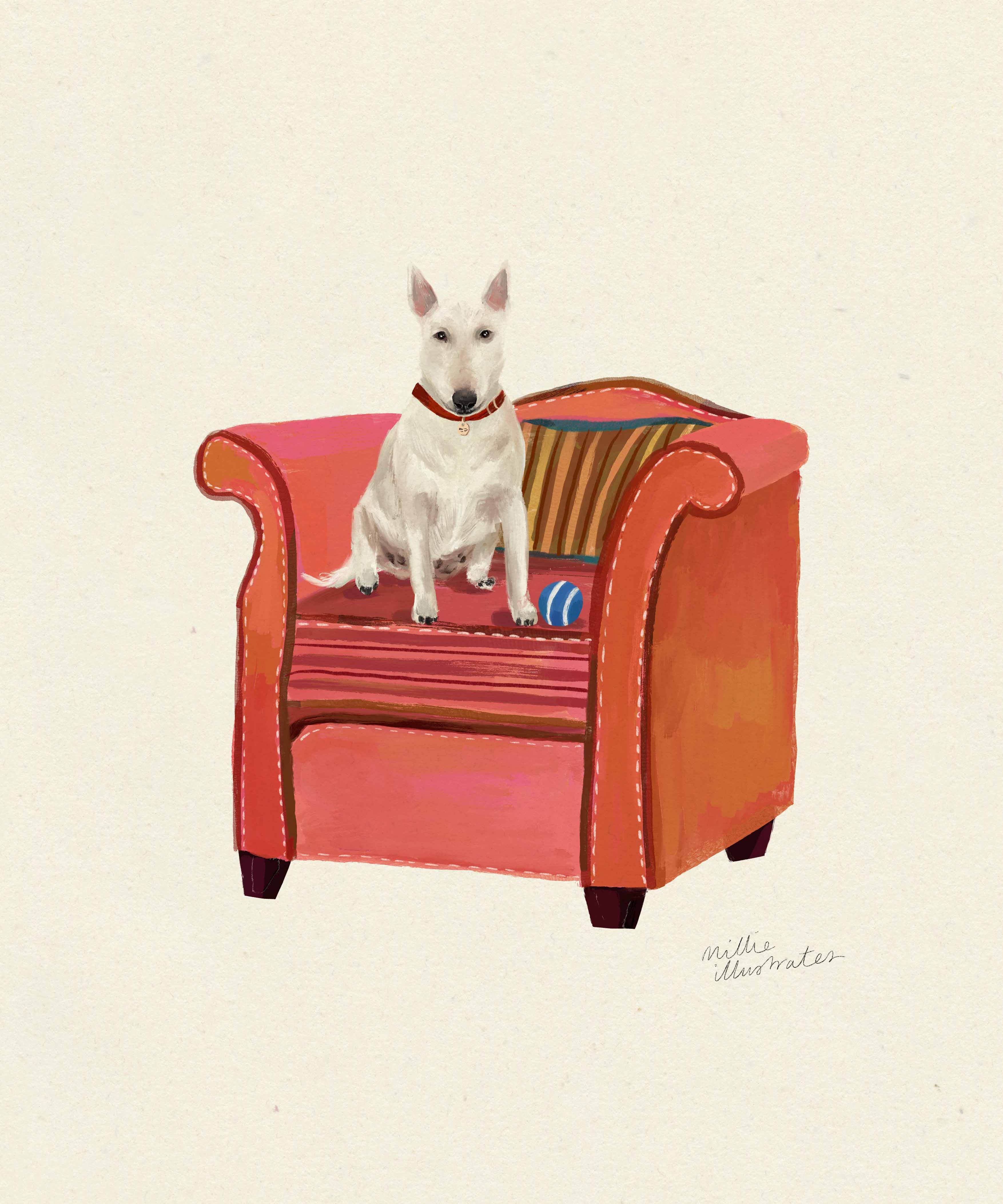bullterrier.jpg