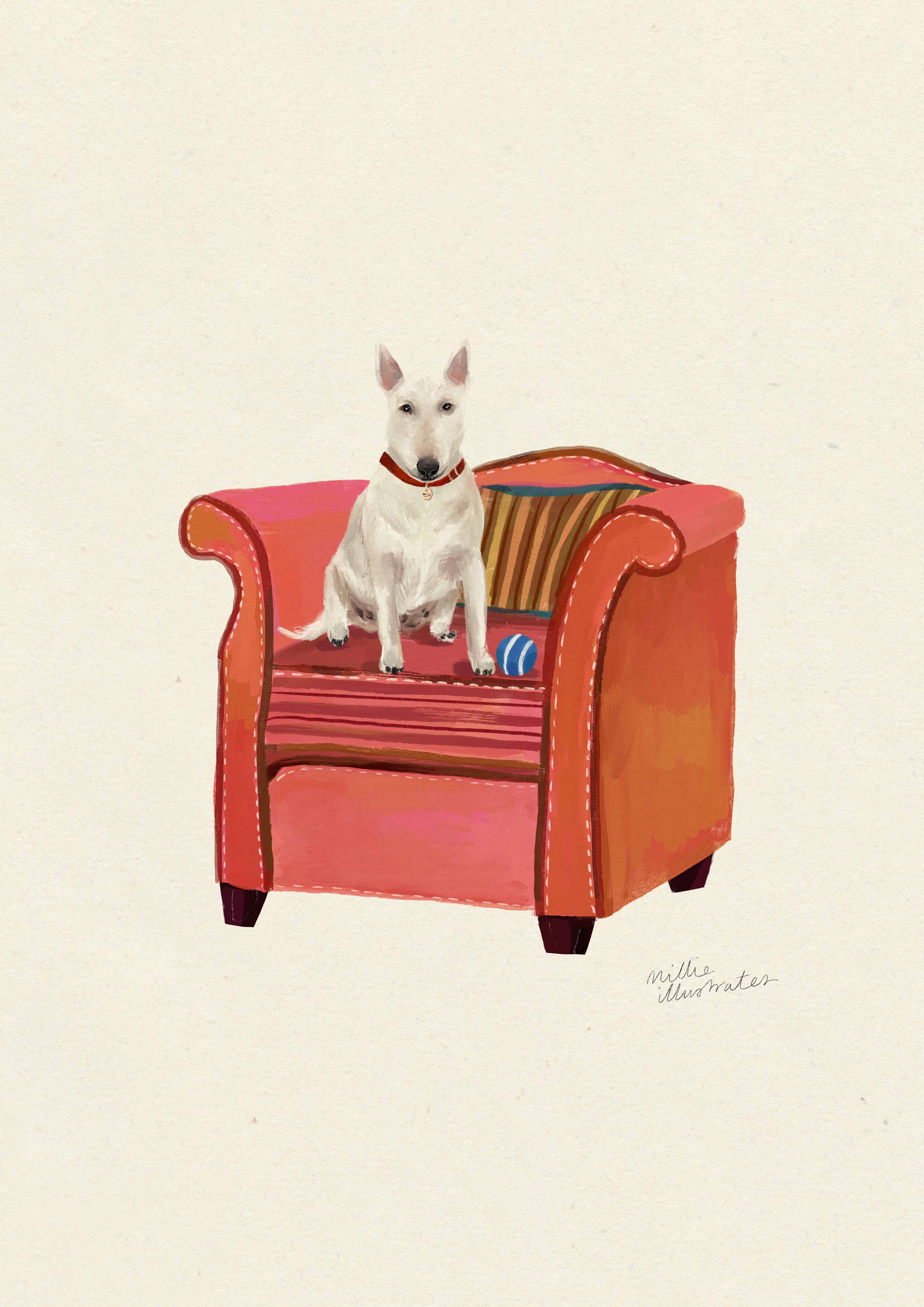 Bull Terrier
