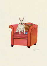 Bull Terrier