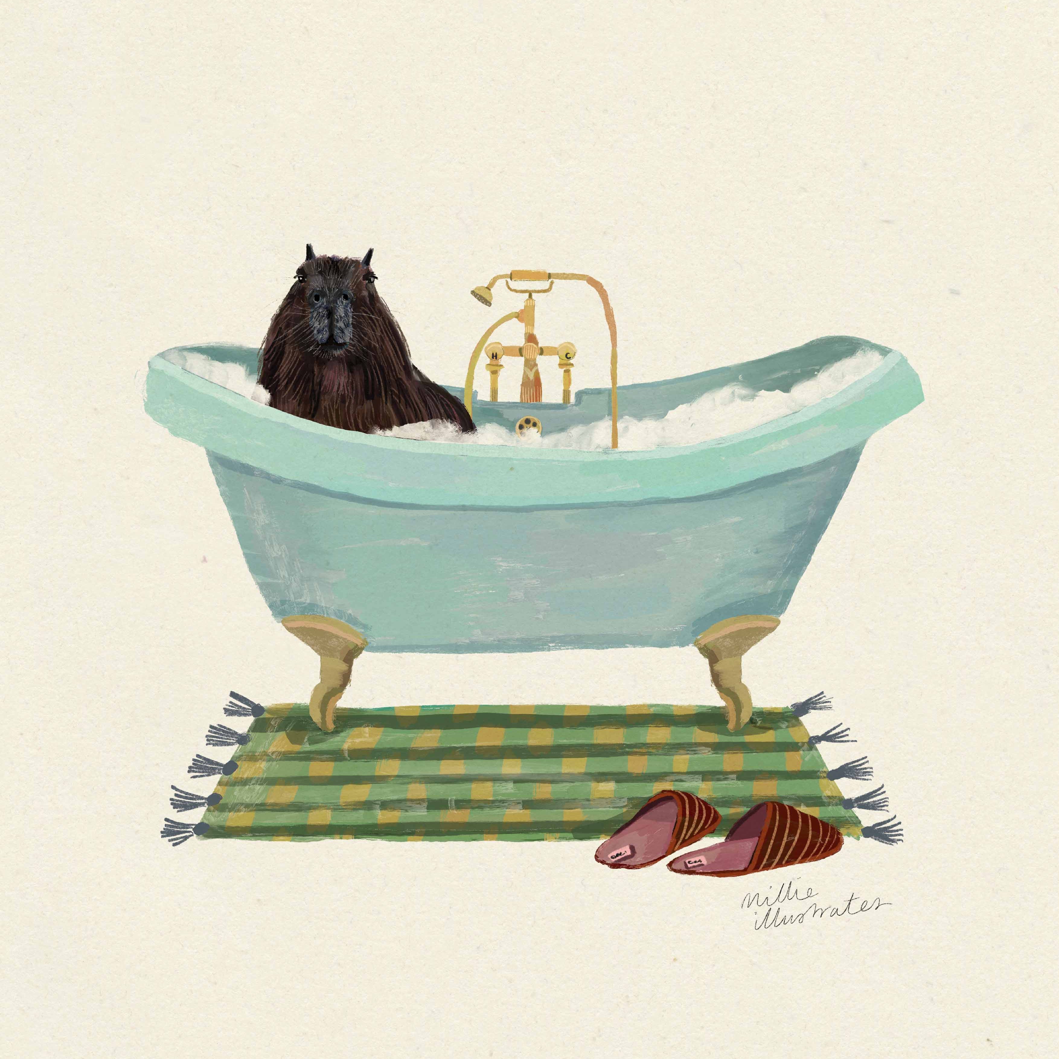 capybara.jpg
