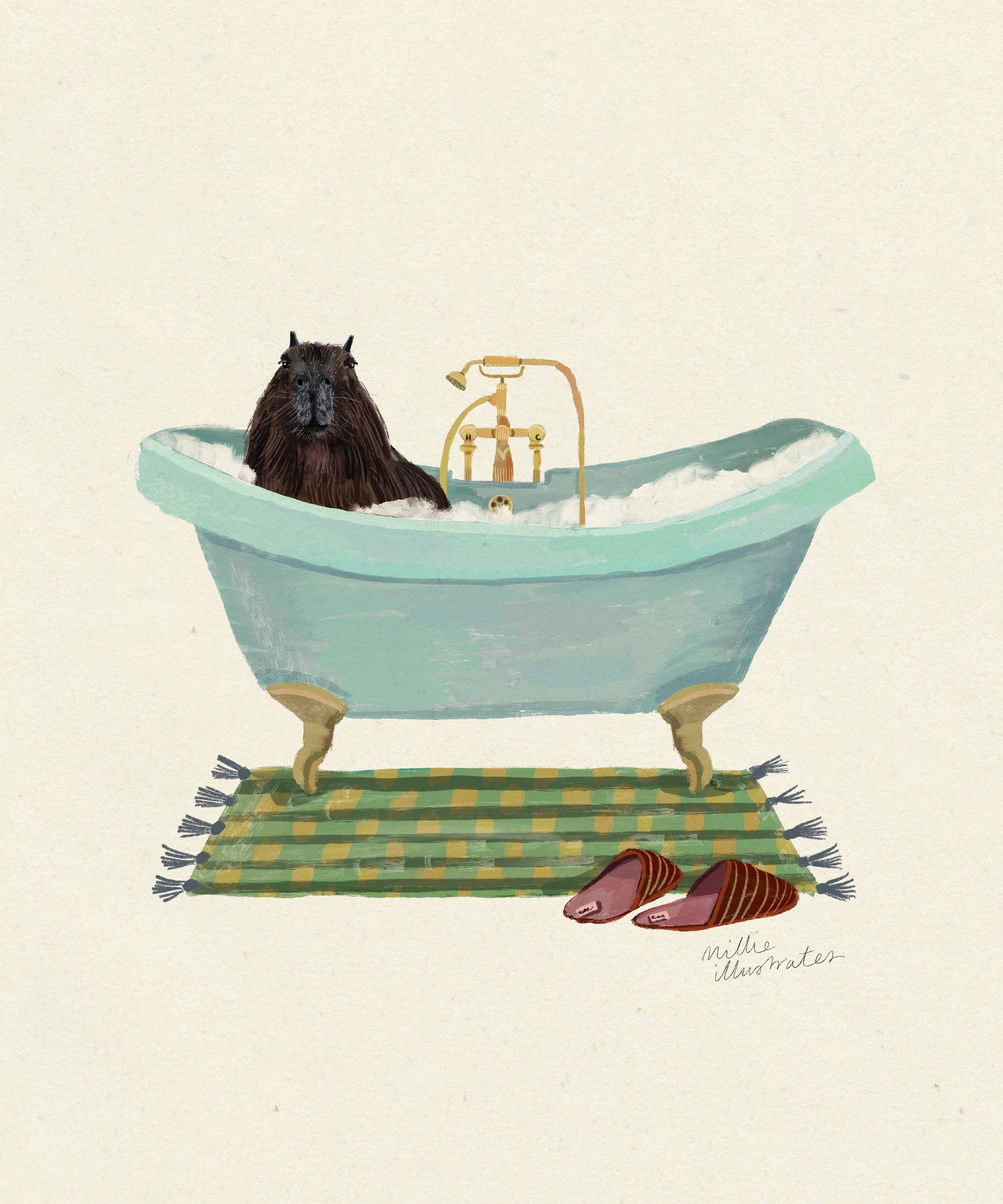 capybara.jpg