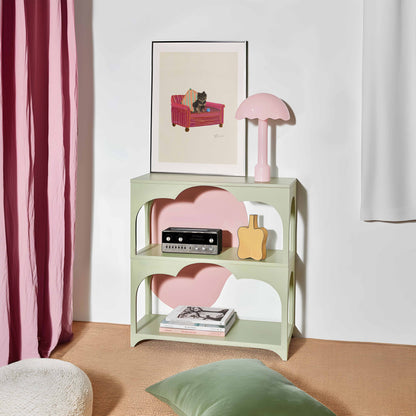 Chocolate Pomeranian