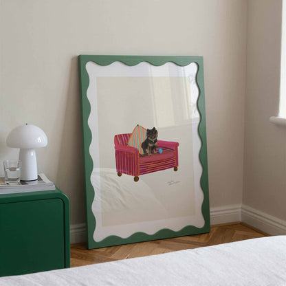 Chocolate Pomeranian