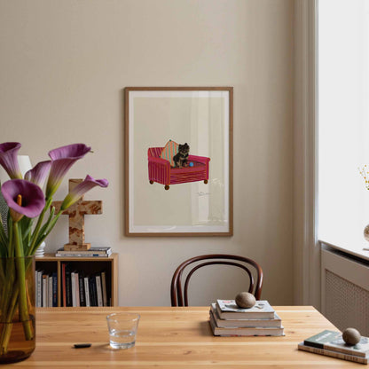 Chocolate Pomeranian