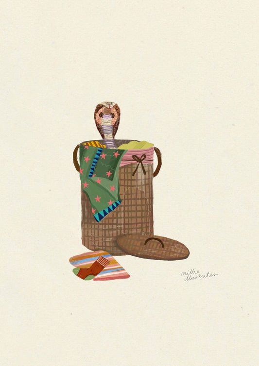 Cobra in the washing basket