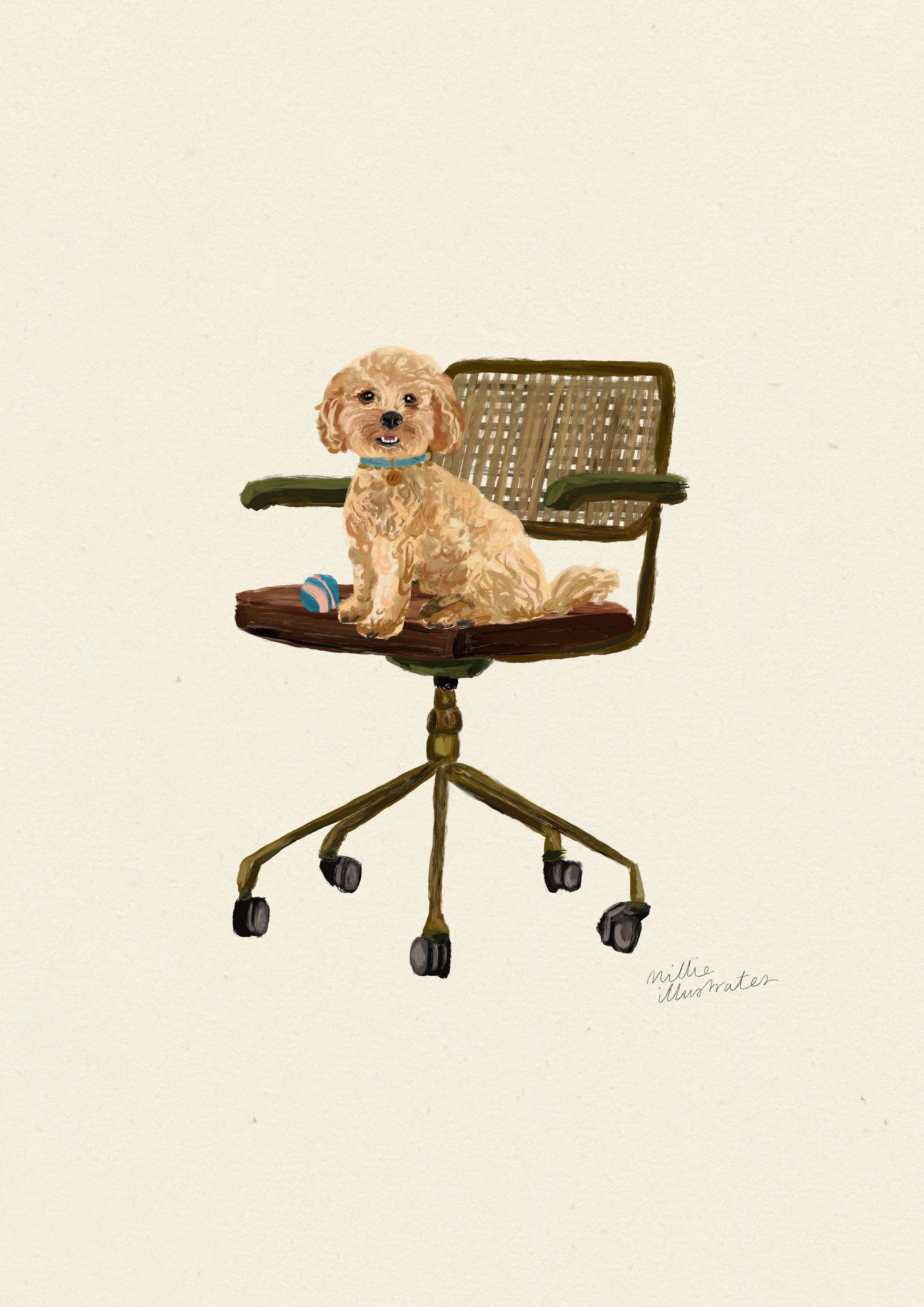 Cockapoo