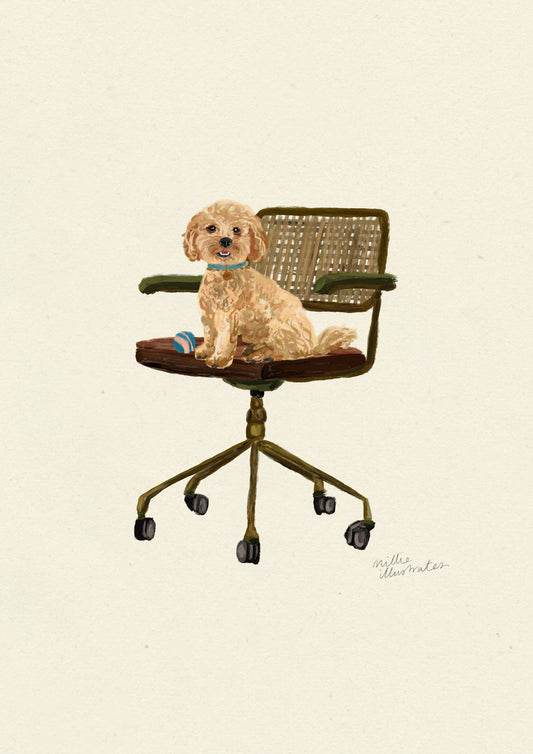 Cockapoo