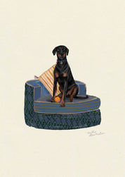 Doberman