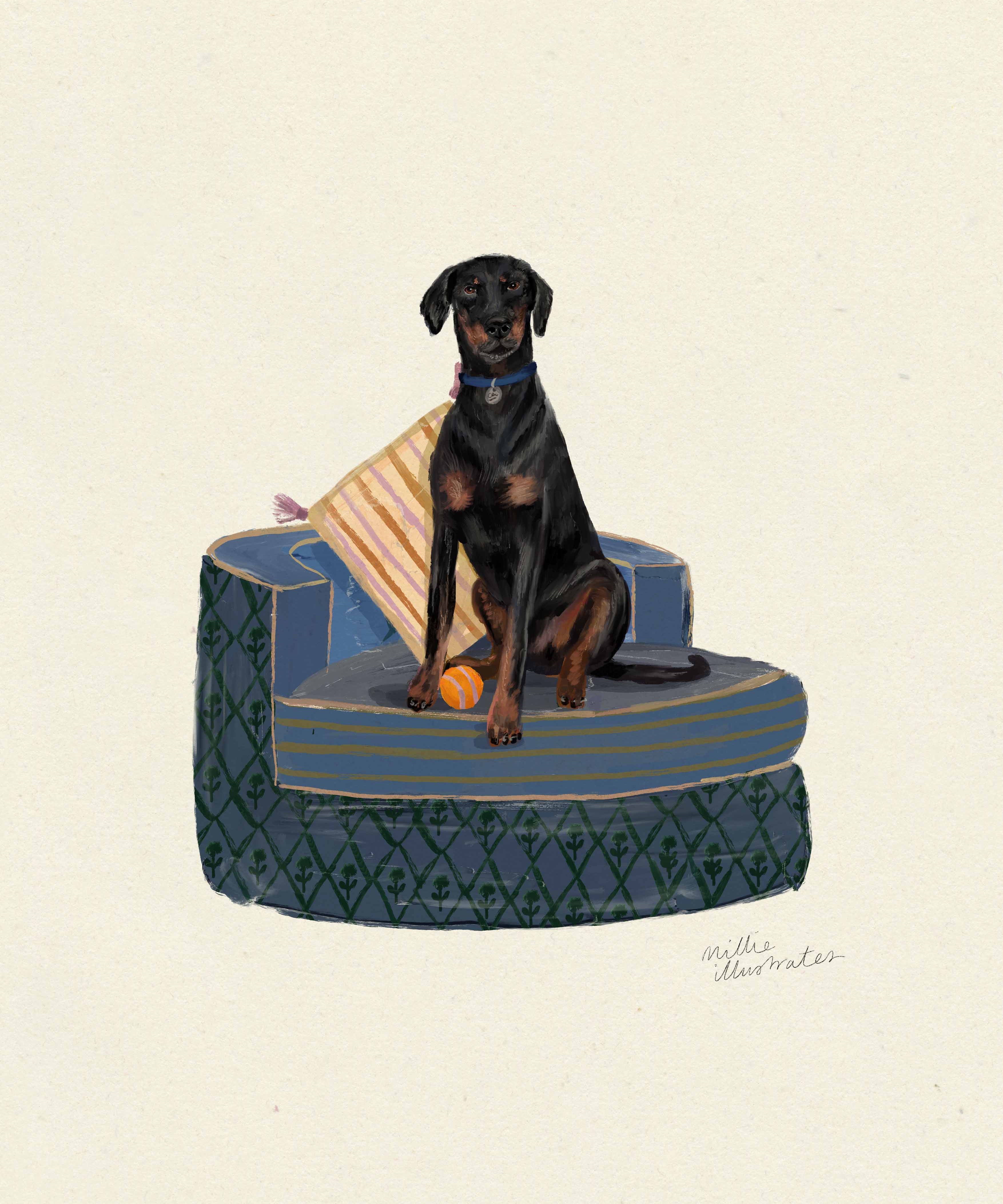 doberman.jpg