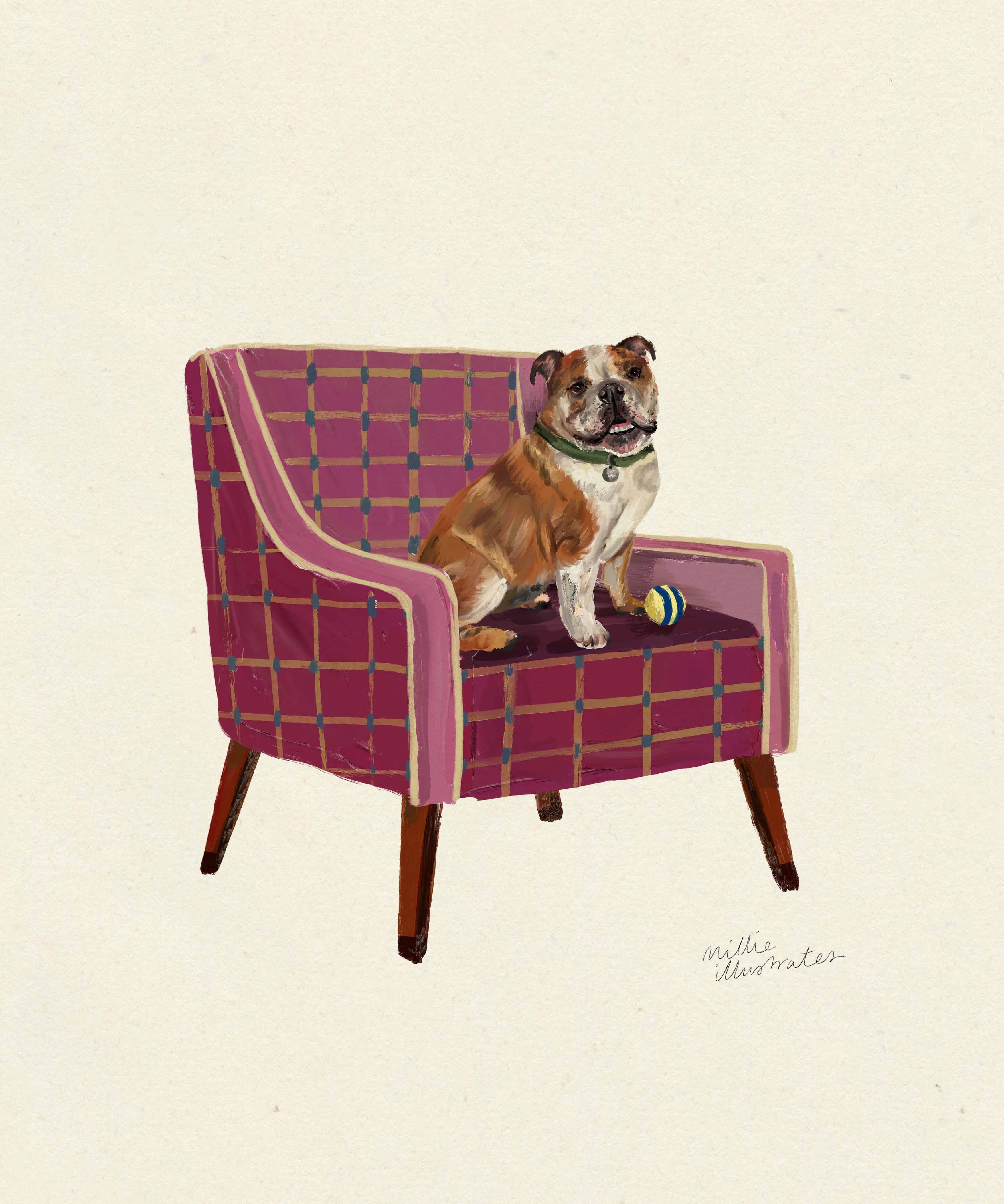 englishbulldogcopy.jpg