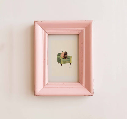 Liver & Tan Show Cocker Spaniel