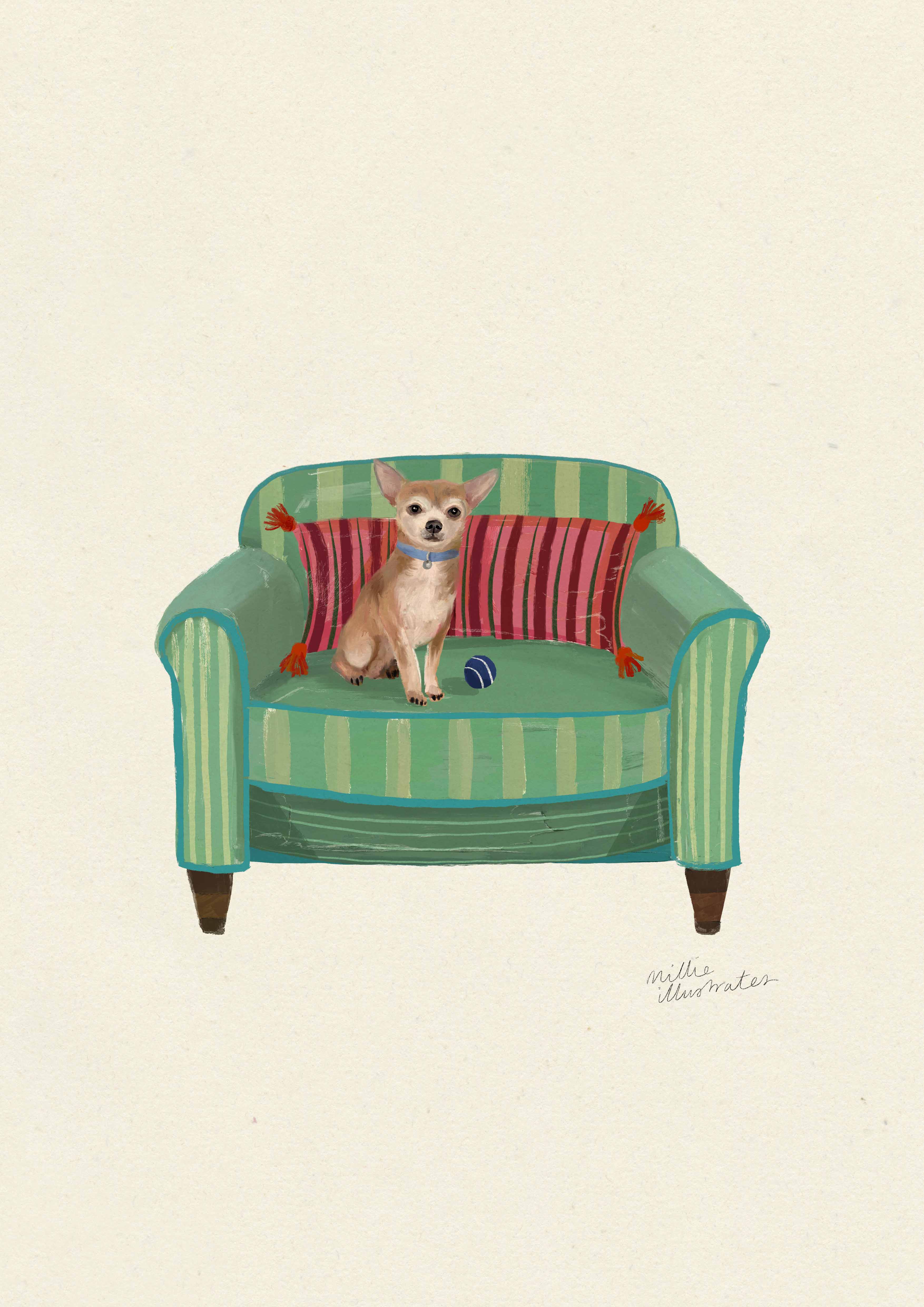 Smooth Fawn Chihuahua