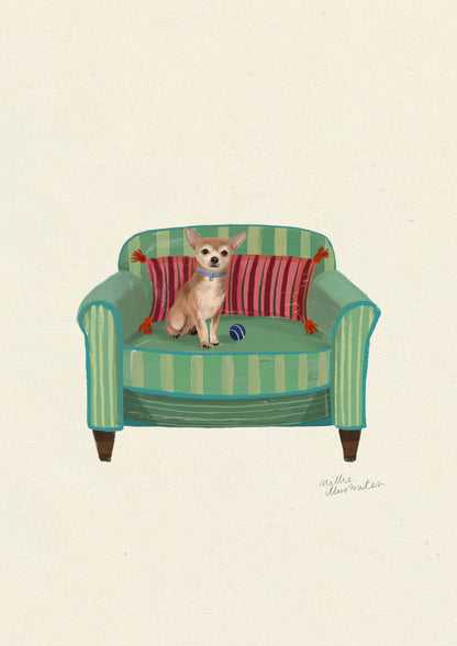 Smooth Fawn Chihuahua