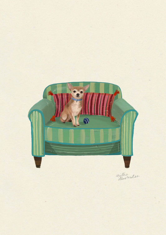 Smooth Fawn Chihuahua