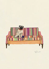 Fawn Pug