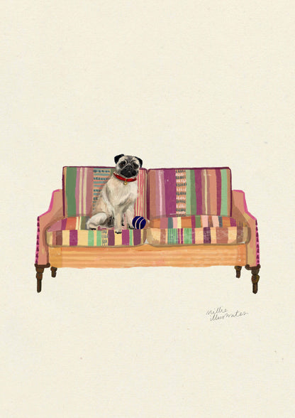 Fawn Pug