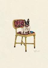 French Bulldog (Black & White)