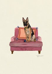 German Shepherd
