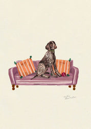 German Shorthaired Pointer