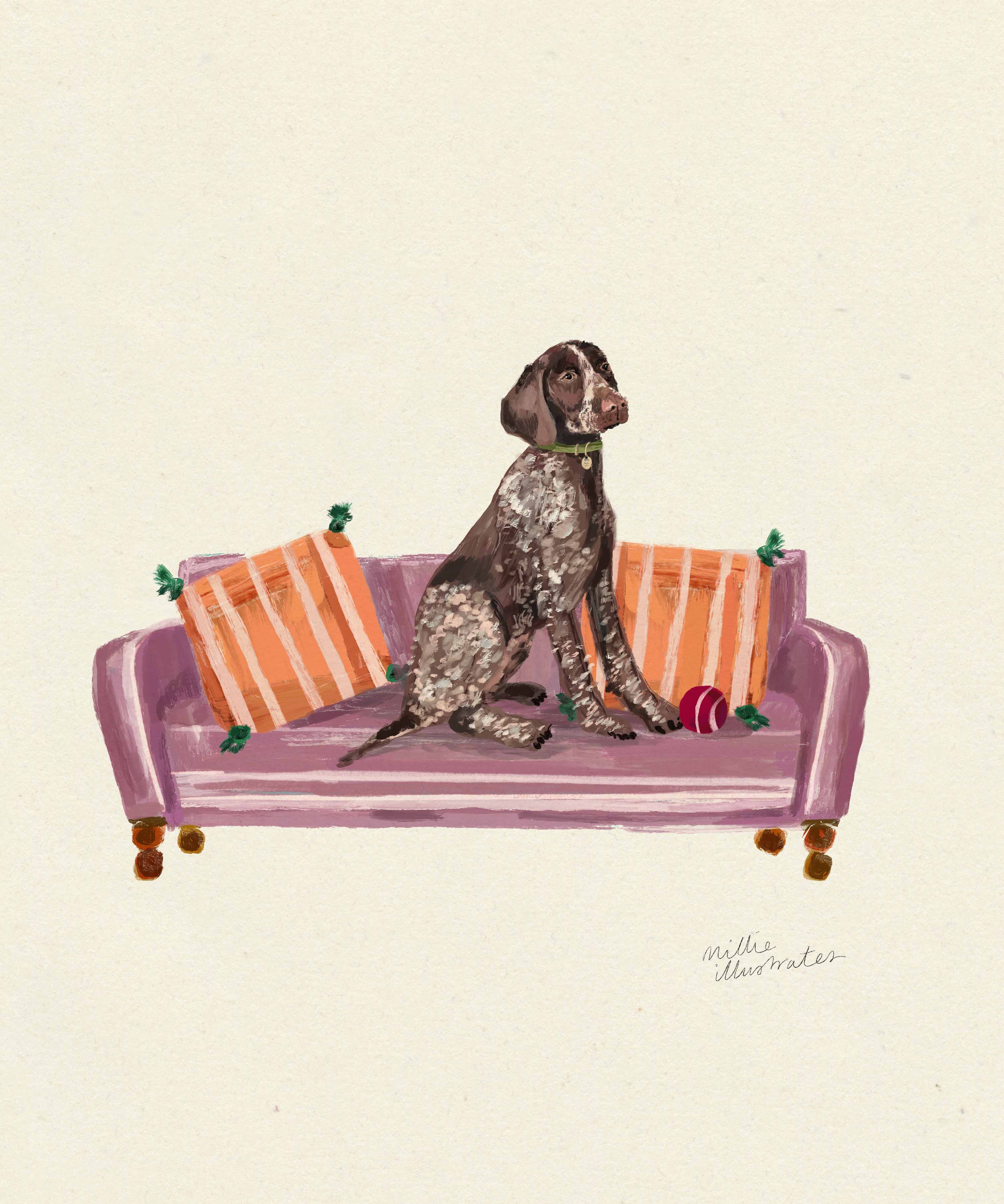 germanshorthairedpointer.jpg