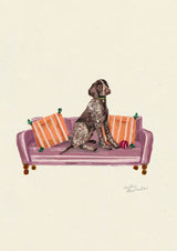 German Shorthaired Pointer