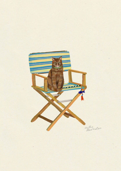 Ginger Short Haired - Domestic
