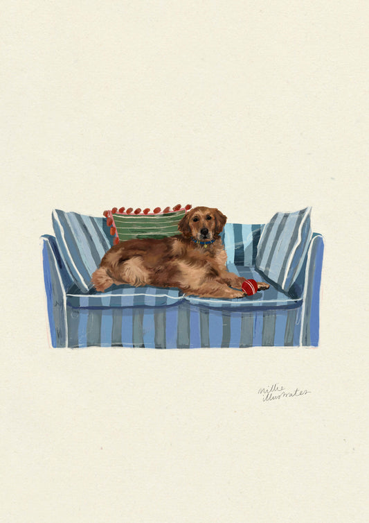 Golden Retriever