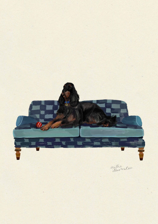 Gordon Setter