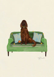 Irish Setter