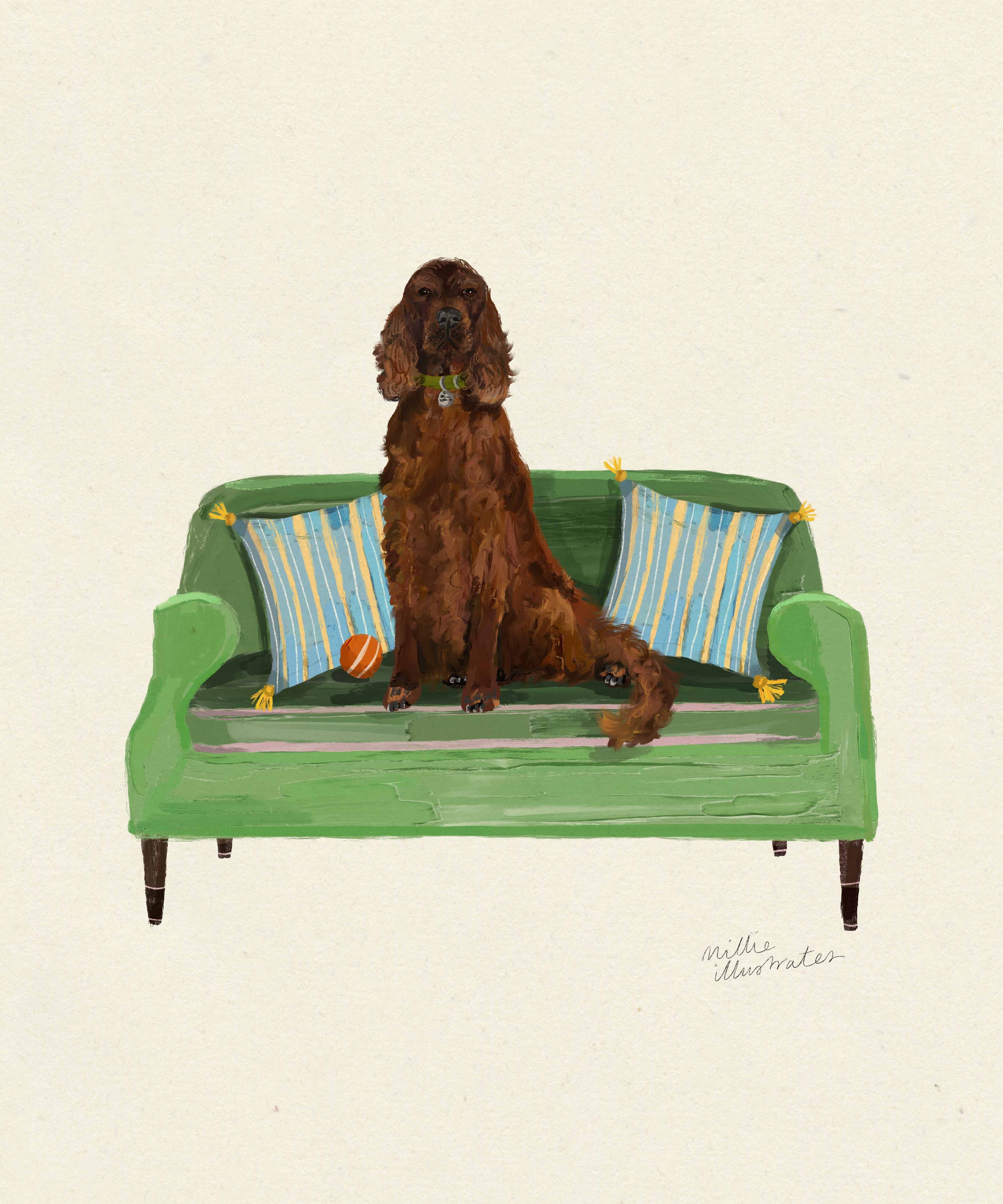 irish_setter_image.jpg
