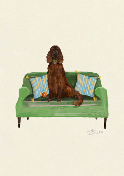 Irish Setter