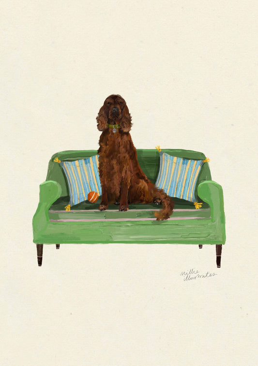 Irish Setter