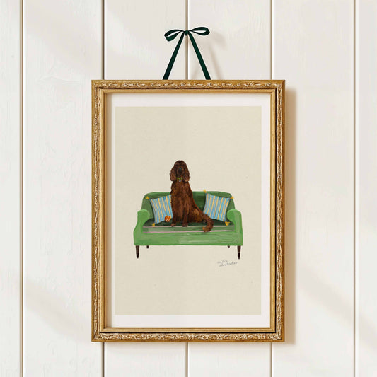 Irish Setter