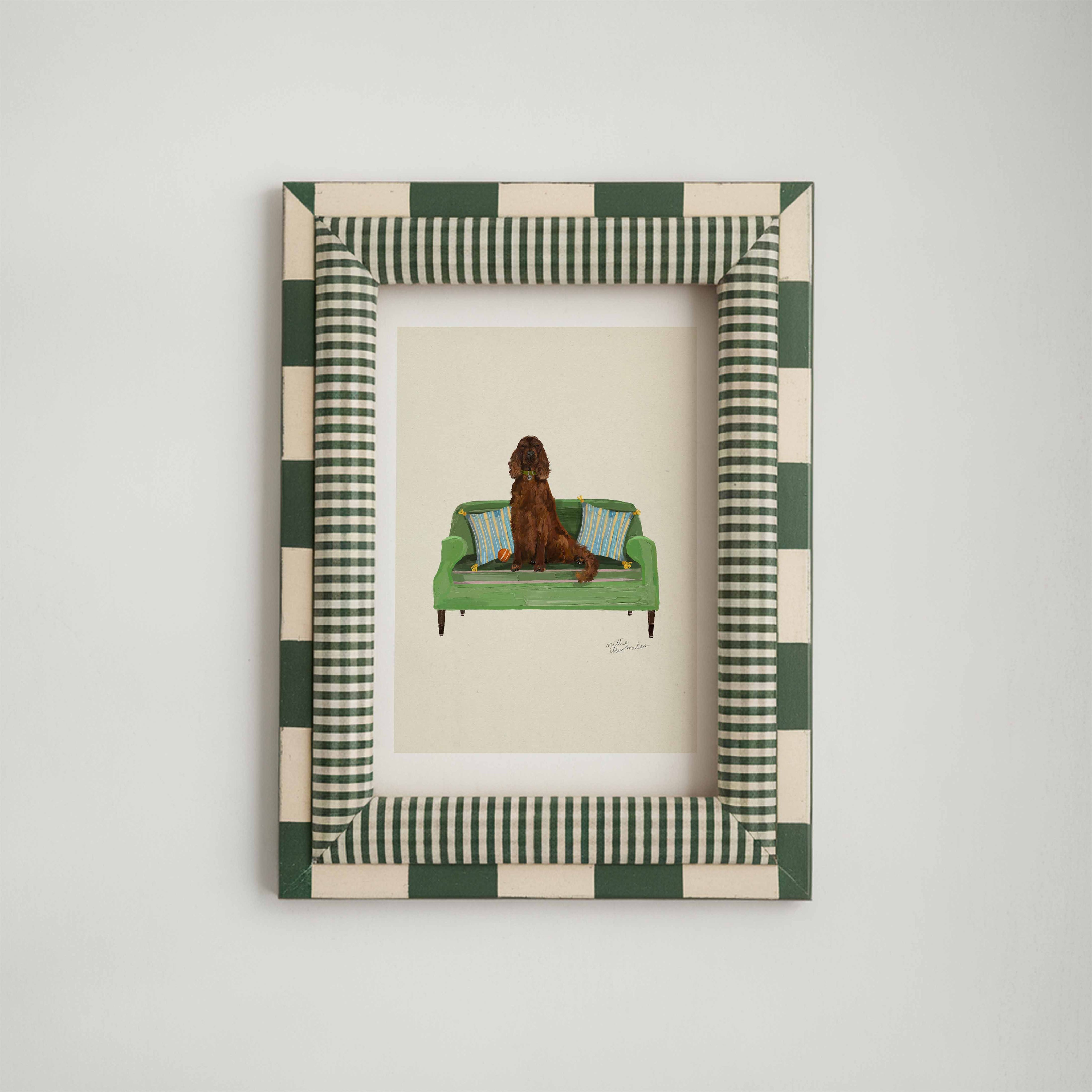 Irish Setter