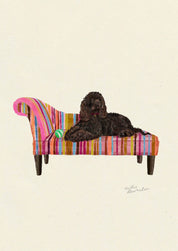 Irish Water Spaniel