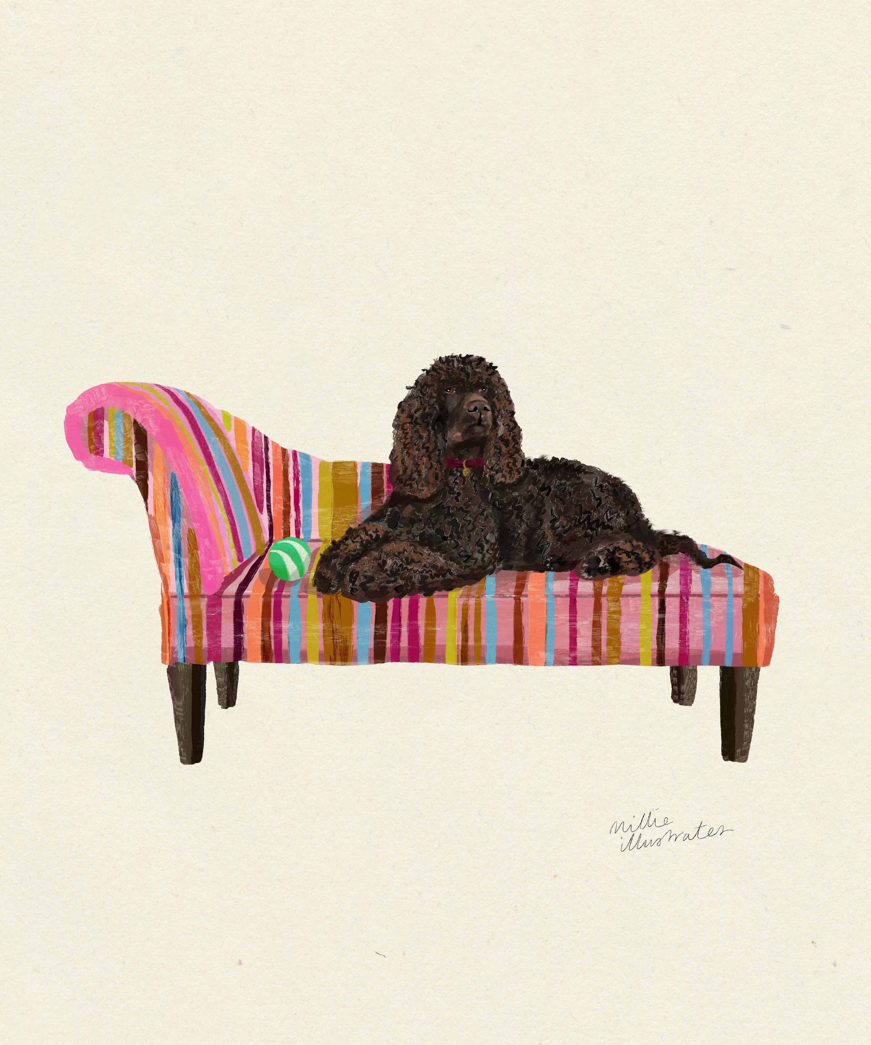 irishwaterspaniel.jpg