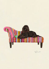 Irish Water Spaniel