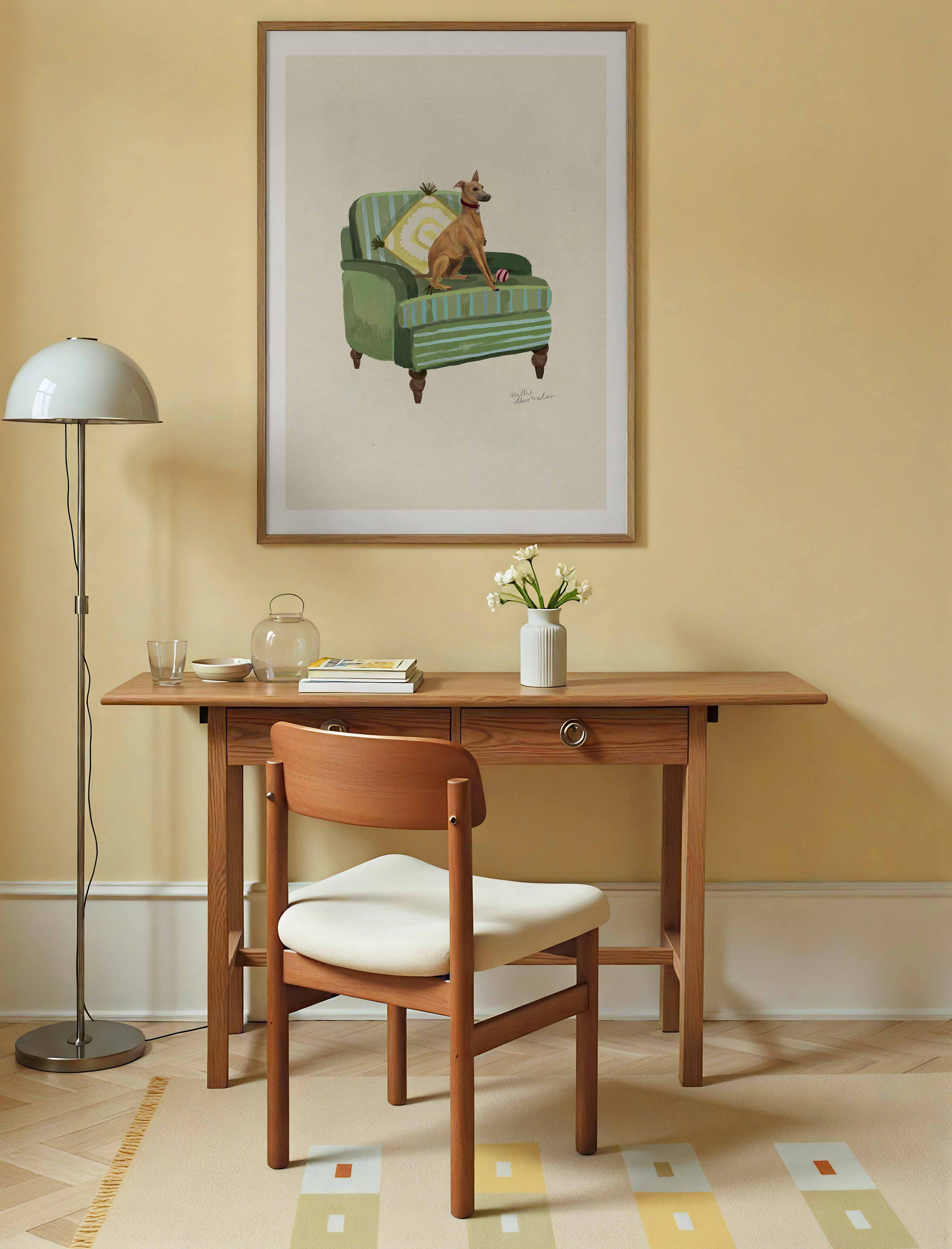 Italian Greyhound