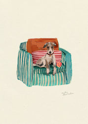 Whippet