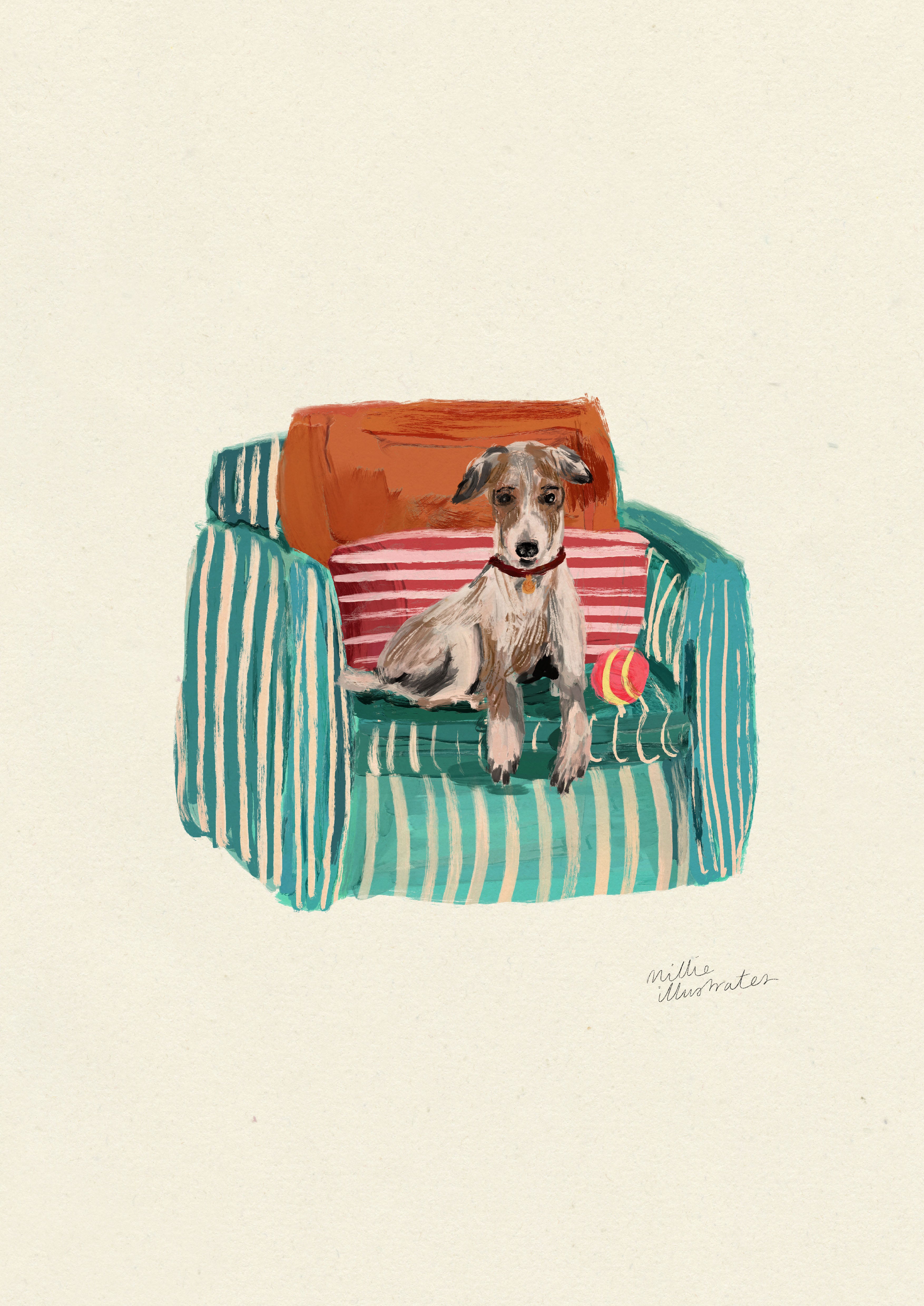 Whippet
