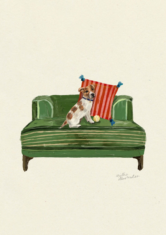 Jack Russell