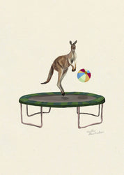Kangaroo on the Trampoline