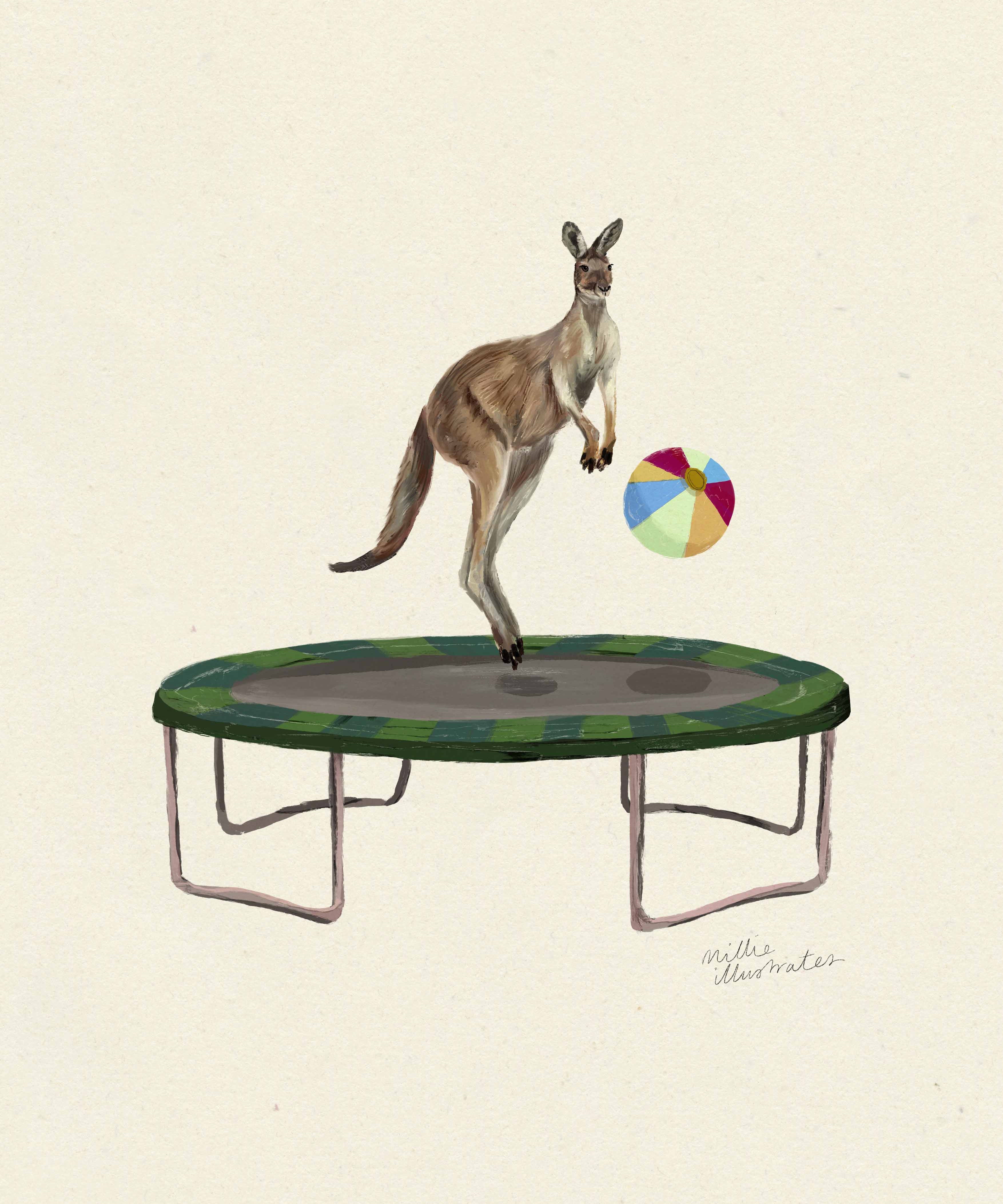 kangaroo.jpg