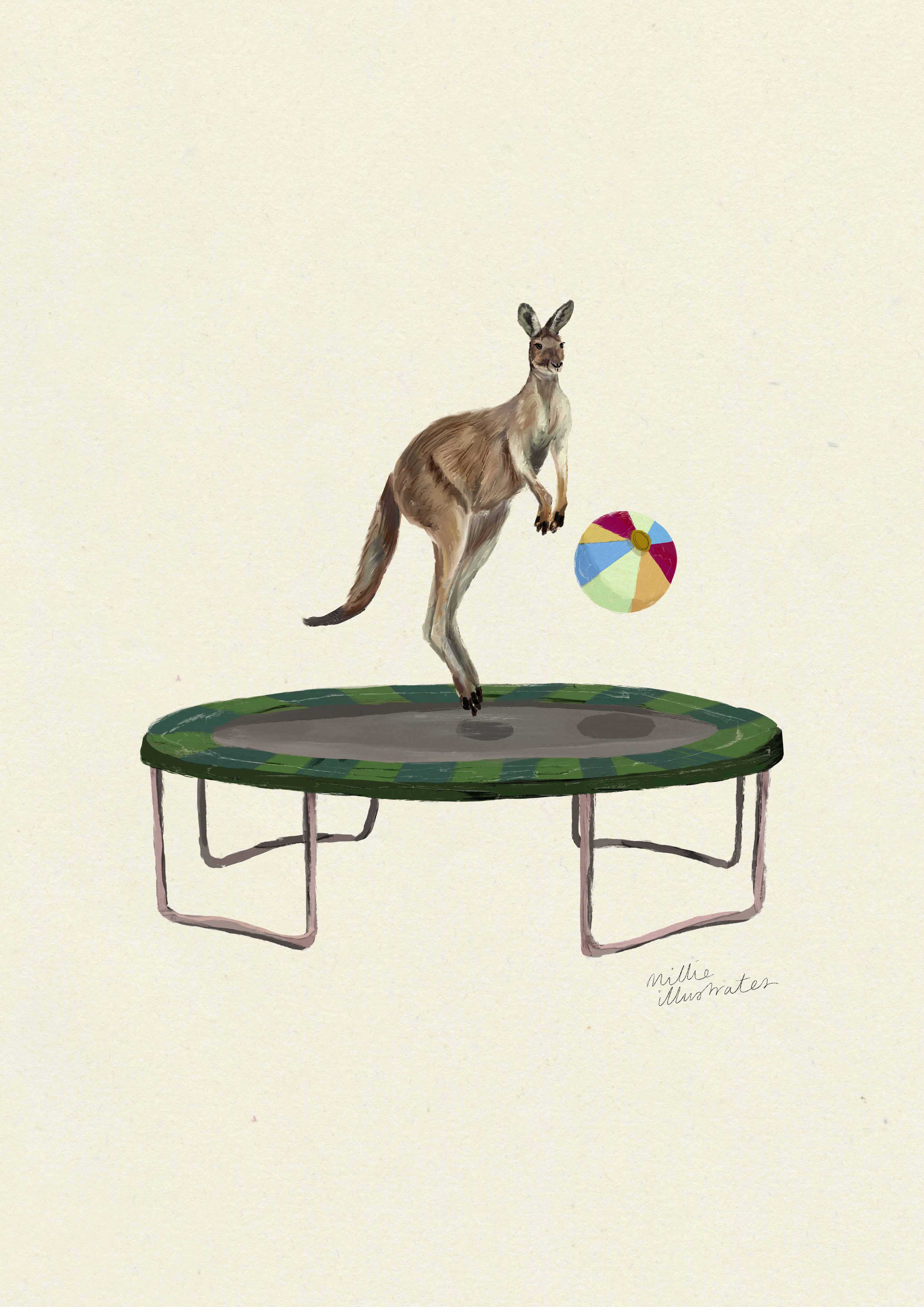 Kangaroo on the Trampoline