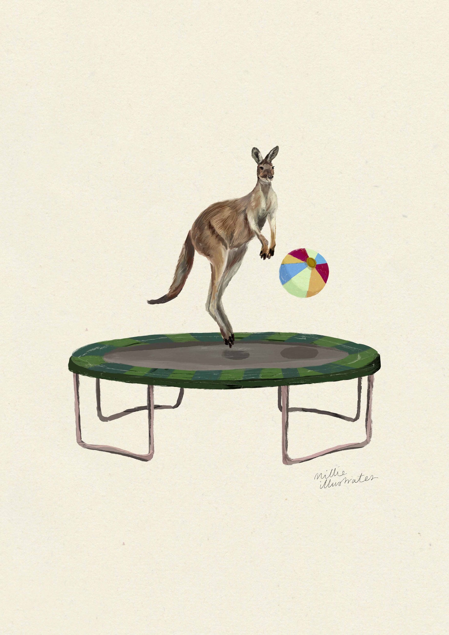 Kangaroo on the Trampoline