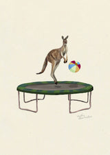 Kangaroo on the Trampoline