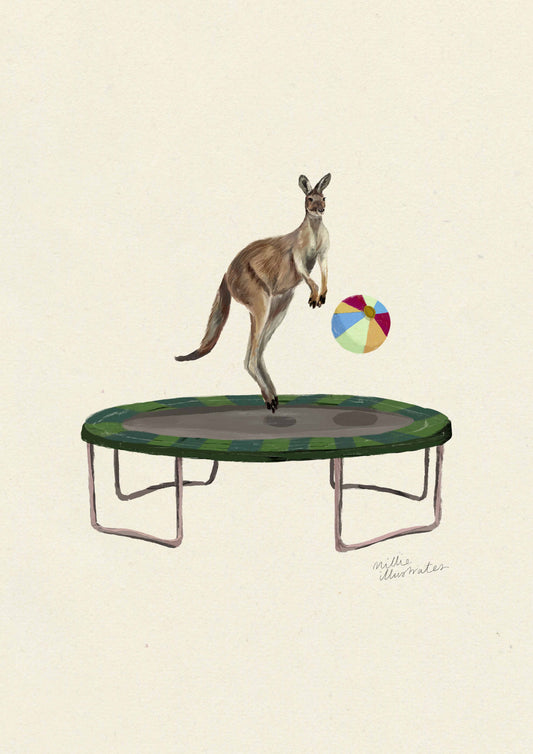 Kangaroo on the Trampoline