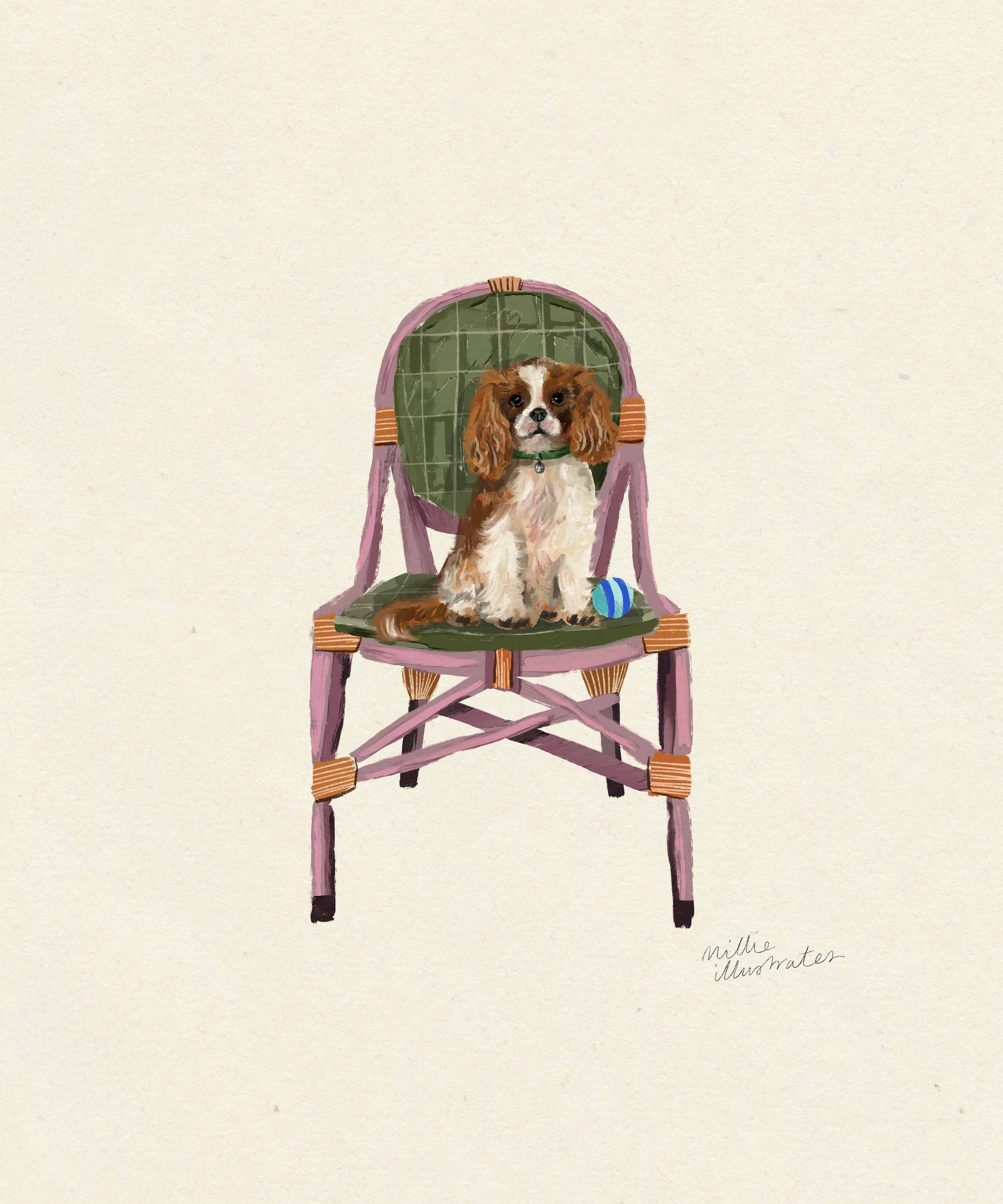 kingcharlesspanielcopy.jpg