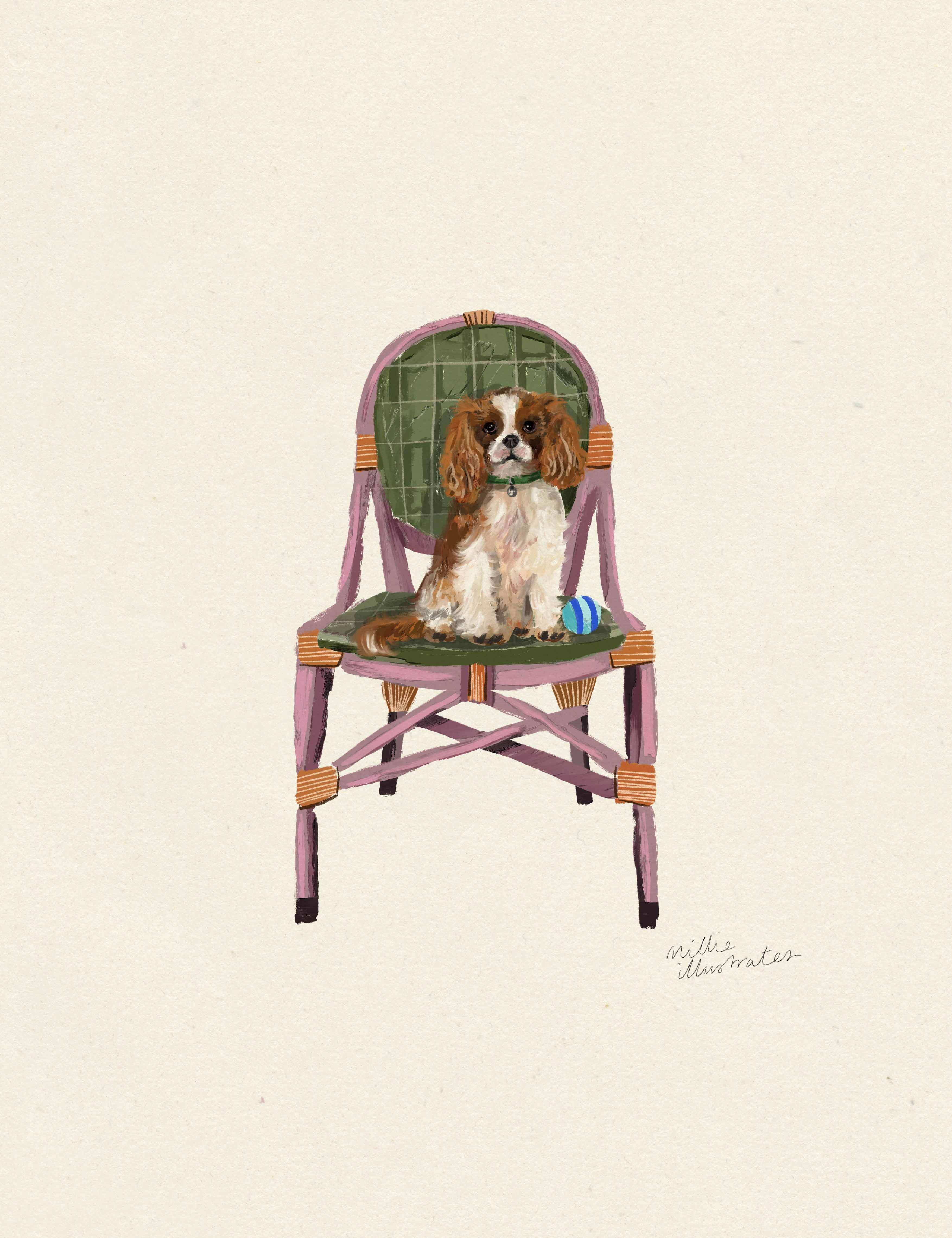 kingcharlesspanielcopy.jpg